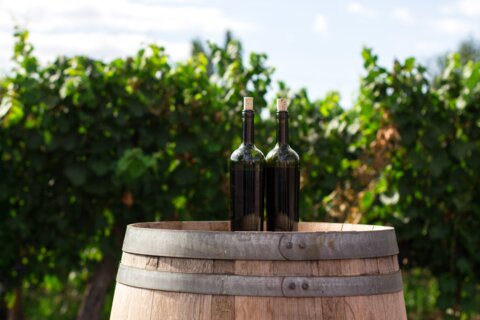 Tales of Croatian wine - Dalmatia (photo by Rodrigo Abreu, source Unsplash)